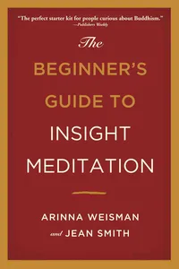 The Beginner's Guide to Insight Meditation_cover