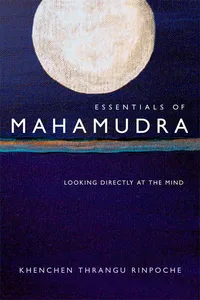 Essentials of Mahamudra_cover