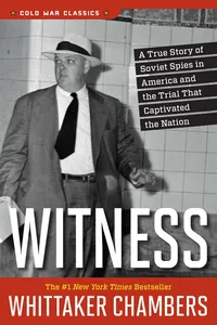 Witness_cover