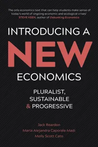 Introducing a New Economics_cover