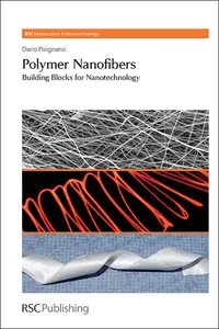 Polymer Nanofibers_cover