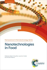 Nanotechnologies in Food_cover