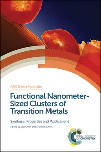 Functional Nanometer-Sized Clusters of Transition Metals_cover
