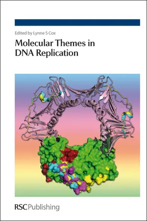 Molecular Themes in DNA Replication