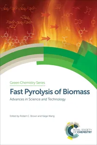 Fast Pyrolysis of Biomass_cover