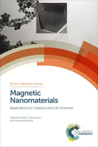 Magnetic Nanomaterials_cover