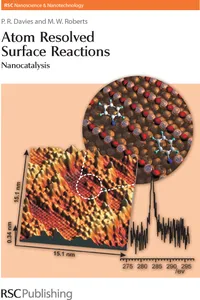 Atom Resolved Surface Reactions_cover