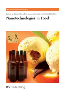 Nanotechnologies in Food_cover