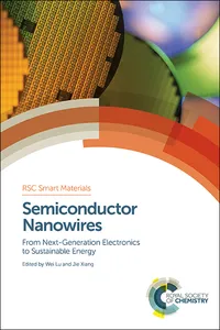 Semiconductor Nanowires_cover