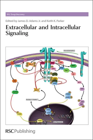 Extracellular and Intracellular Signaling