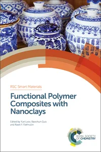 Functional Polymer Composites with Nanoclays_cover