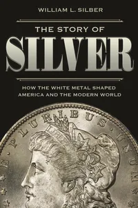 The Story of Silver_cover