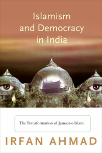 Princeton Studies in Muslim Politics_cover