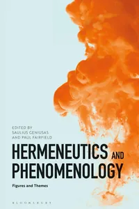 Hermeneutics and Phenomenology_cover