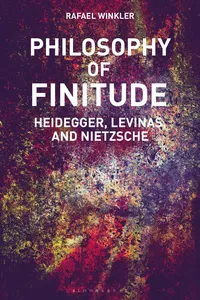 Philosophy of Finitude_cover