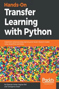 Hands-On Transfer Learning with Python_cover