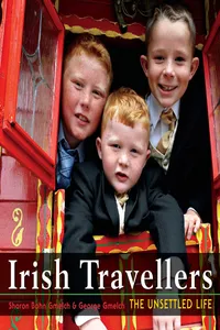 Irish Travellers_cover