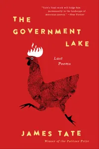 The Government Lake_cover