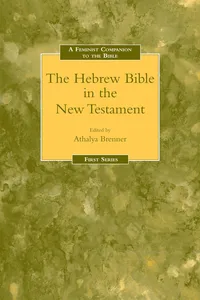 Feminist Companion to the Hebrew Bible in the New Testament_cover