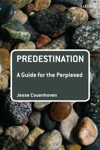 Predestination: A Guide for the Perplexed_cover