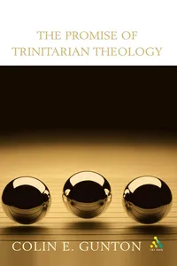The Promise of Trinitarian Theology_cover