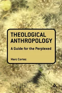 Theological Anthropology: A Guide for the Perplexed_cover