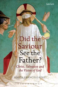 Did the Saviour See the Father?_cover