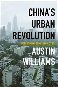 China's Urban Revolution_cover