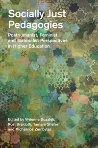 Socially Just Pedagogies_cover