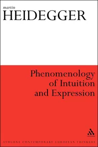 Phenomenology of Intuition and Expression_cover