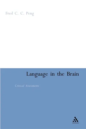 Language in the Brain