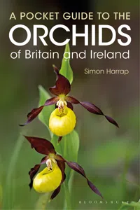 Pocket Guide to the Orchids of Britain and Ireland_cover