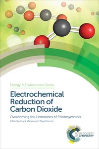Electrochemical Reduction of Carbon Dioxide_cover