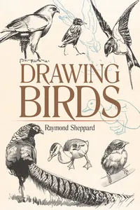 Drawing Birds_cover