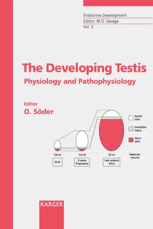 The Developing Testis