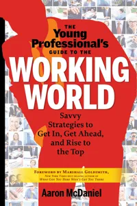 The Young Professional's Guide to the Working World_cover