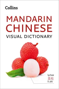 Collins Mandarin Chinese Visual Dictionary_cover