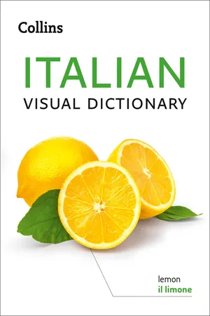 Collins Italian Visual Dictionary