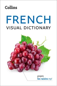Collins French Visual Dictionary_cover