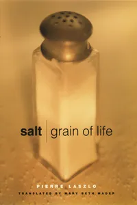 Salt_cover