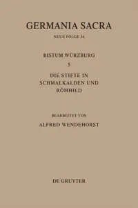 Die Bistümer der Kirchenprovinz Mainz: Das Bistum Würzburg 5: Die Stifte in Schmalkalden und Römhild_cover