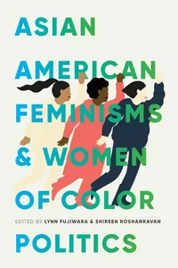 Asian American Feminisms and Women of Color Politics_cover
