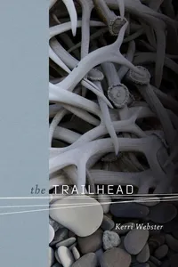 The Trailhead_cover