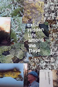 Extra Hidden Life, among the Days_cover