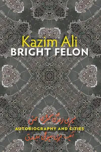 Bright Felon_cover