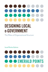 Designing Local e-Government_cover