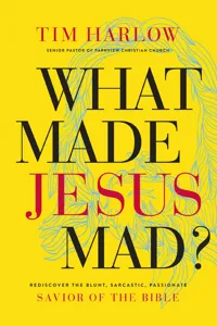 What Made Jesus Mad?_cover