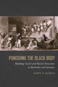 Punishing the Black Body_cover