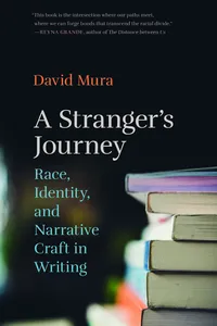 A Stranger's Journey_cover