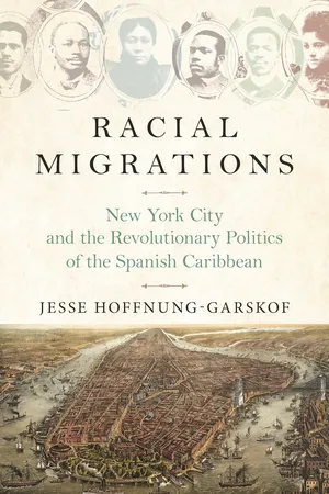 Racial Migrations